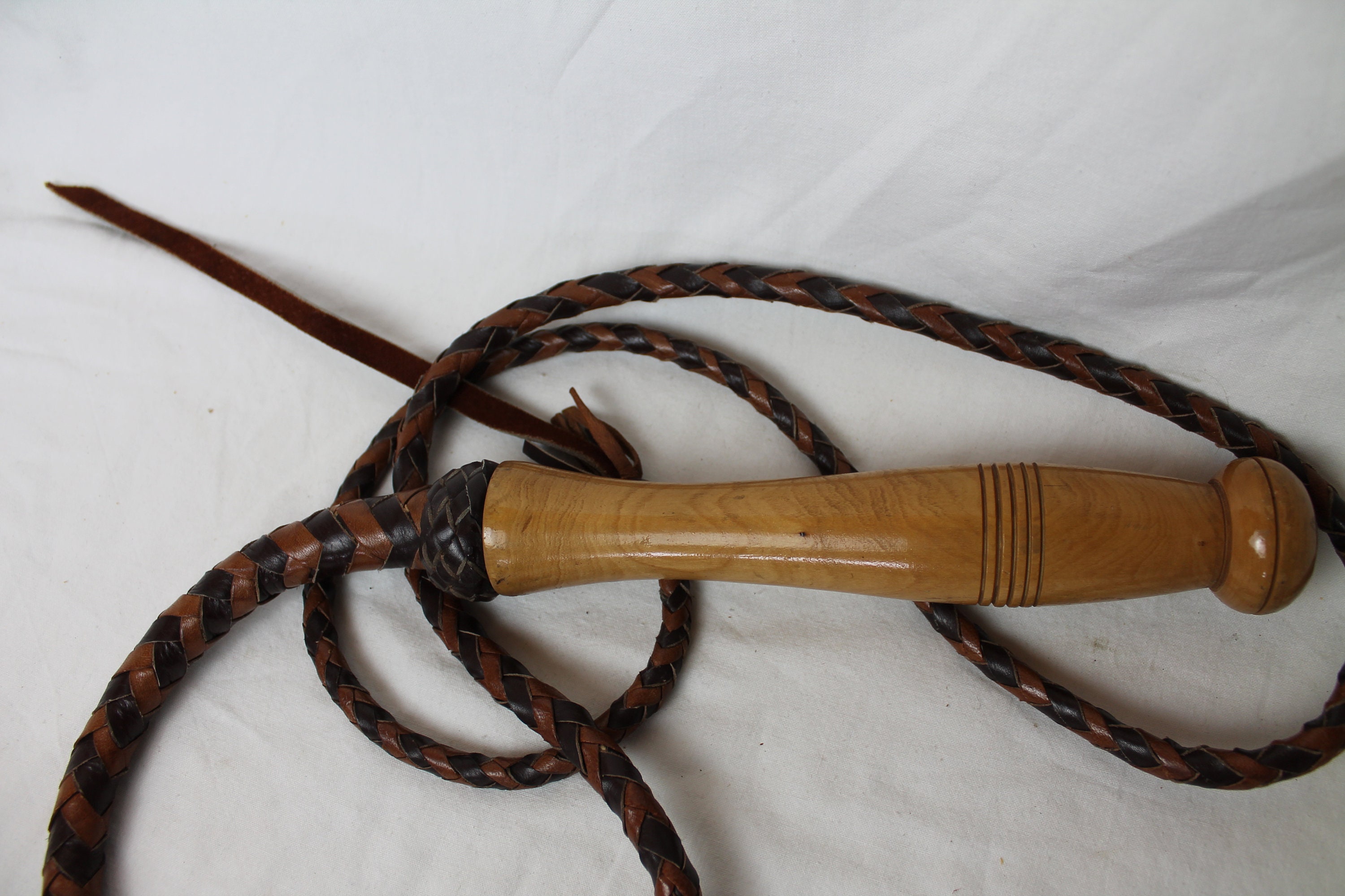 Steampunk Whip