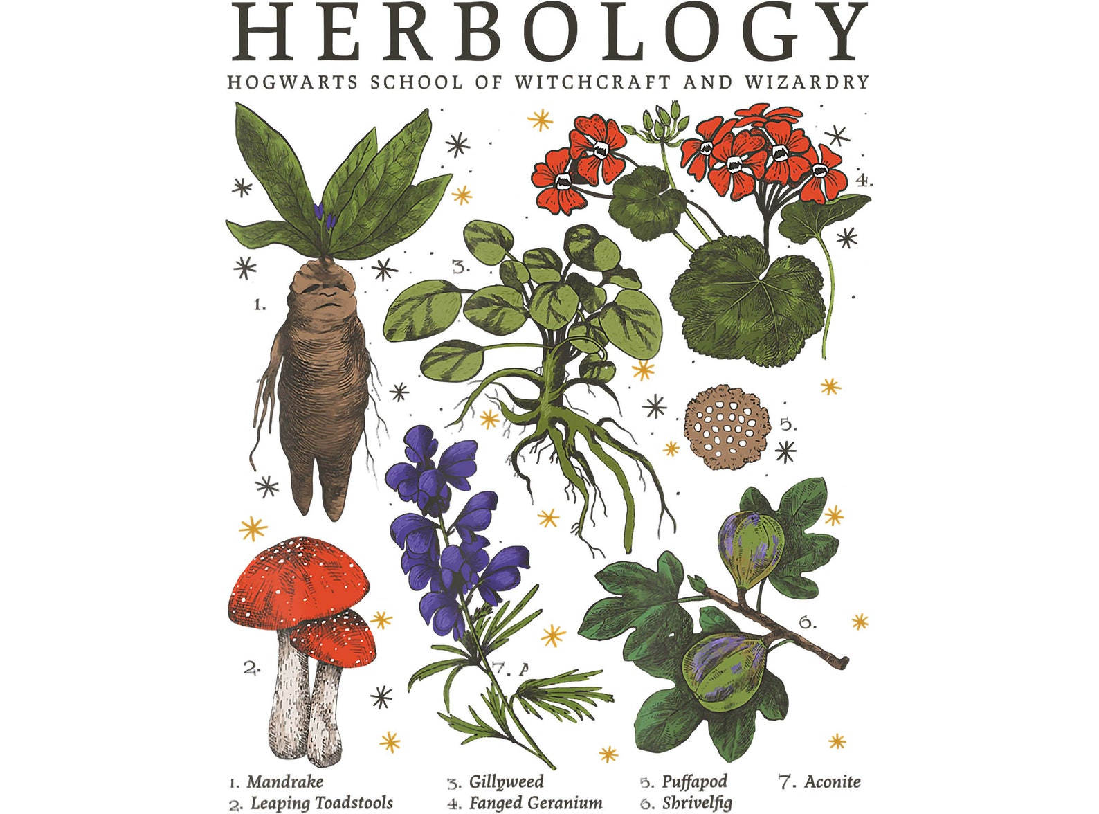 Harry Potter Herbology Plants Movie Png Gardening Png Etsy