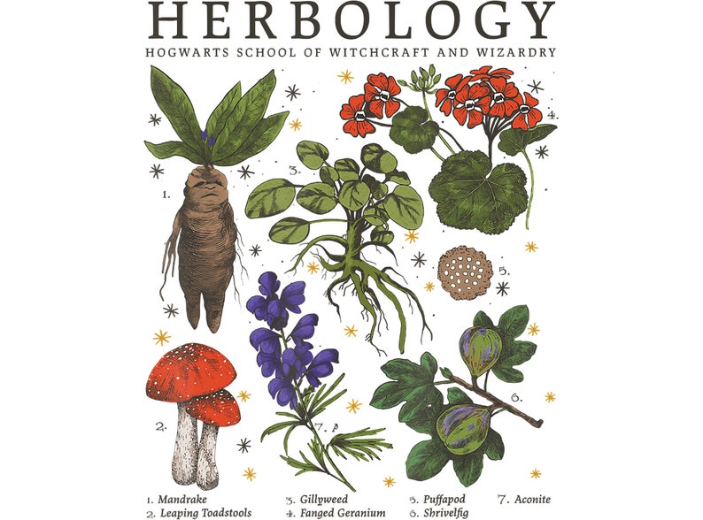 Harry Potter Herbology Plants Movie Png Gardening Png Etsy