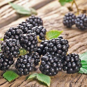 May include: Close-up of fresh, ripe blackberries with green leaves on a rustic wooden surface. The blackberries are a deep, glossy black, and the leaves are a vibrant green. A natural, healthy food.