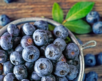 Blueberry Plant - Sharpblue Live Blueberry Plants - 4-8 inch Southern Live Blueberry Plants For Planting - Fruit Tree Live Plant