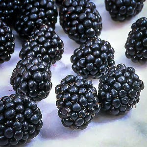 May include: Close-up of several ripe blackberries, showcasing their deep black color and textured surface. The berries are clustered together, highlighting their juicy appearance. The image is well-lit, emphasizing the freshness of the fruit.