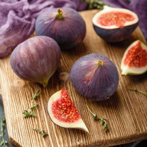 Fig Tree Plant - LSU Purple Fig Tree - Louisiana Purple Fig Tree Live Plant - 4-6 Inch Fig Plant - Fruit Tree Live Plant