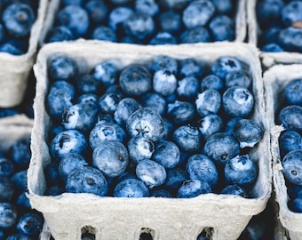 O'Neil Blueberry Bush - Starter Southern Highbush Blue Berry Live Plant - Blueberries for Planting