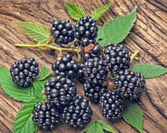 May include: A close-up of a cluster of ripe blackberries on a wooden surface. The berries are arranged in a natural, organic way, with some leaves still attached. The blackberries are a deep, rich black color, and they appear juicy and plump.