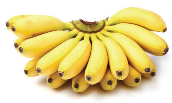 COROA - Banana Kong 