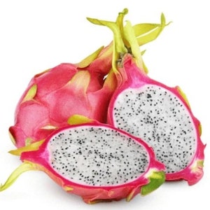 Dragon Fruit Plant - White Flesh Dragon Fruit - Pitaya Plant - Pitahaya Live Fruit Plant - Pink Dragon Fruit