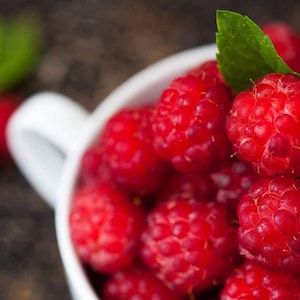 May include: A close-up shot of a white teacup filled with bright red raspberries. A green leaf rests on top of the berries. The raspberries are in focus, showing their textured surface. The background is a blurred, dark wooden surface.