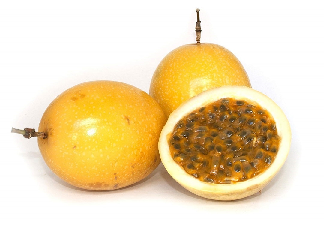 Yellow Passion Fruit Plant Passiflora Edulis Edible Passion Fruit