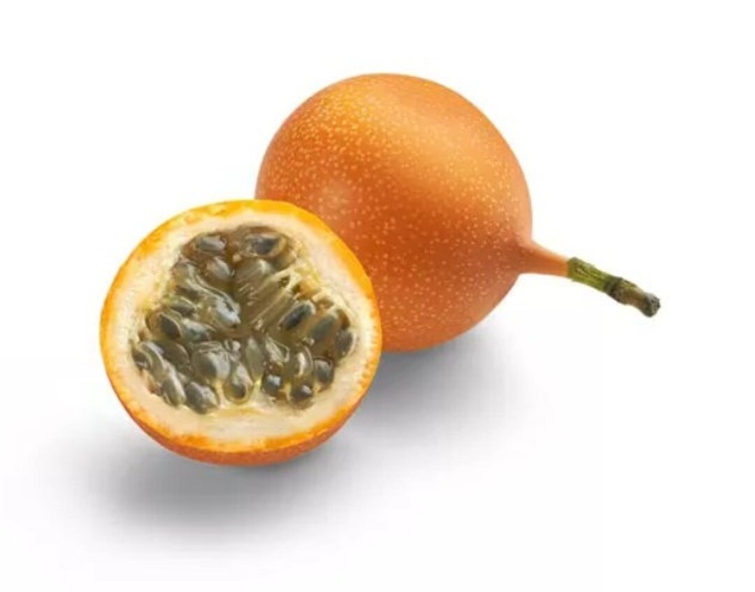 Yellow Passion Fruit Plant Giant Granadilla Edible Passion Fruit