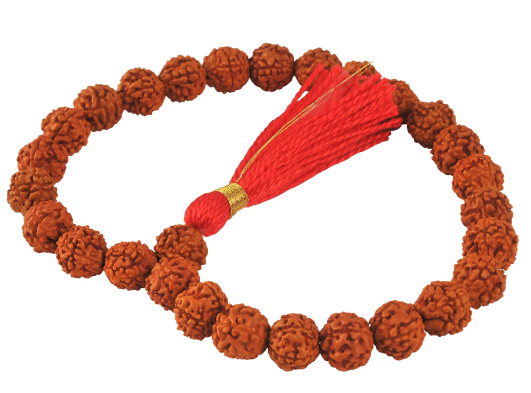 Mala 27 Perles - Graines de Rudraksha