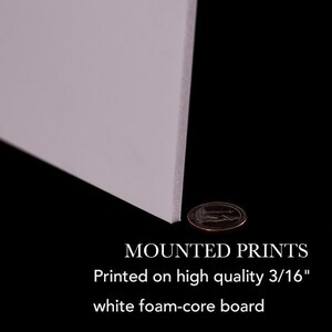 May include: A close-up of a white foam-core board, with a coin in the foreground. The text "MOUNTED PRINTS" is displayed below, along with the description "Printed on high quality 3/16" white foam-core board."