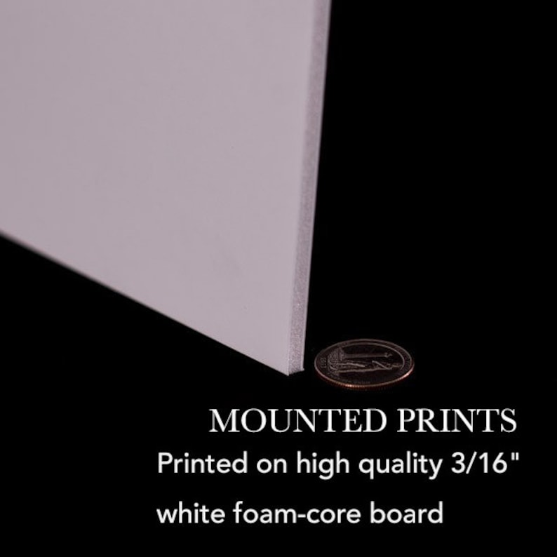 May include: A close-up of a white foam-core board, with a coin in the foreground. The text "MOUNTED PRINTS" is displayed below, along with the description "Printed on high quality 3/16" white foam-core board."