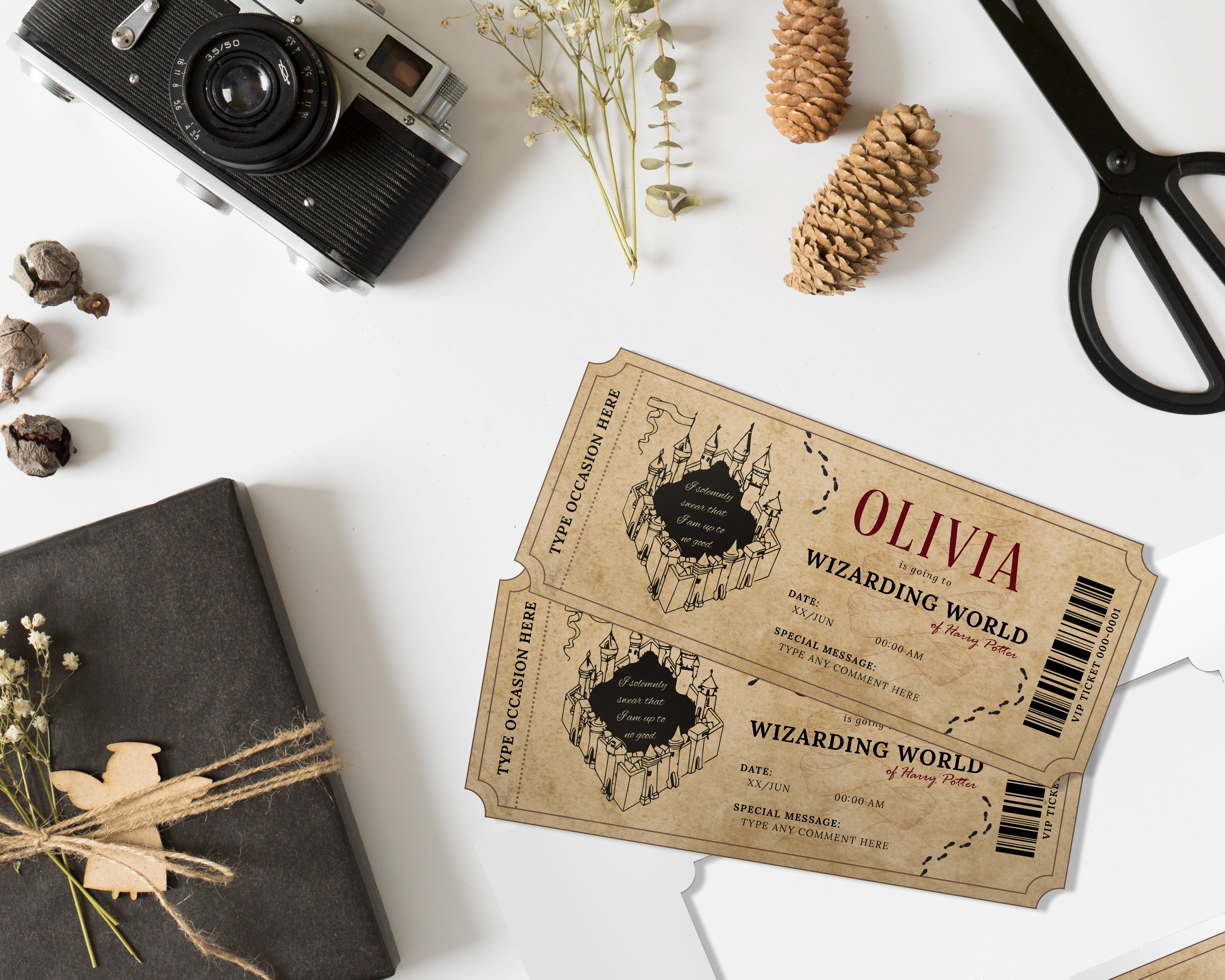 Editable Amusement Park Theme Park Ticket Template Surprise Etsy