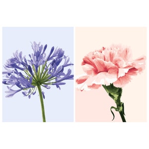 2Packs DIY Paint by Numbers Kit for Adults Kids on Canvas Acrylic Drawing Premium Paintwork Agapanthus & Carnation 12x16in without frame