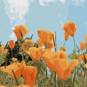 DIY Paint by Numbers Kit for Adults Kids on Canvas Acrylic Drawing Premium Quality Paintwork California Poppy Flowers 16x20in without frame