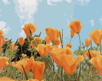 DIY Paint by Numbers Kit for Adults Kids on Canvas Acrylic Drawing Premium Quality Paintwork California Poppy Flowers 16x20in without frame