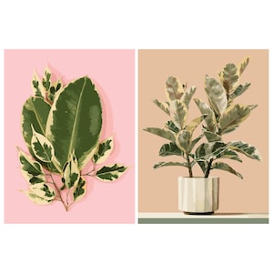 2Packs DIY Paint by Numbers Kit for Adults Kids on Canvas Acrylic Drawing Premium Quality Paintwork Ficus Tineke 12x16in without frame