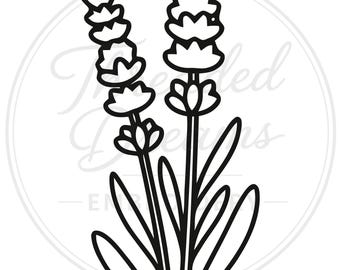 SVG/PNG FILES
