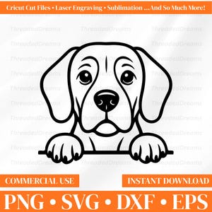 Beagle SVG PNG DXF EPS: Design de contorno limpo para artesanato | Gravação a laser | Design para sublimação | Download instantâneo