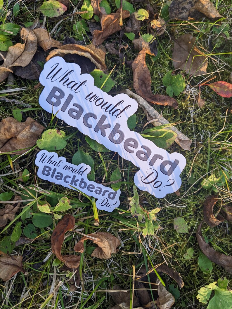 Blackbeard Sticker, Our Flag Means Death Sticker, What Would Blackbeard ...