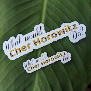 Cher Horowitz sticker, Clueless sticker, Wat zou Cher Horowitz doen, leuke sticker, Hydroflask decoratie, jaren '90 sticker