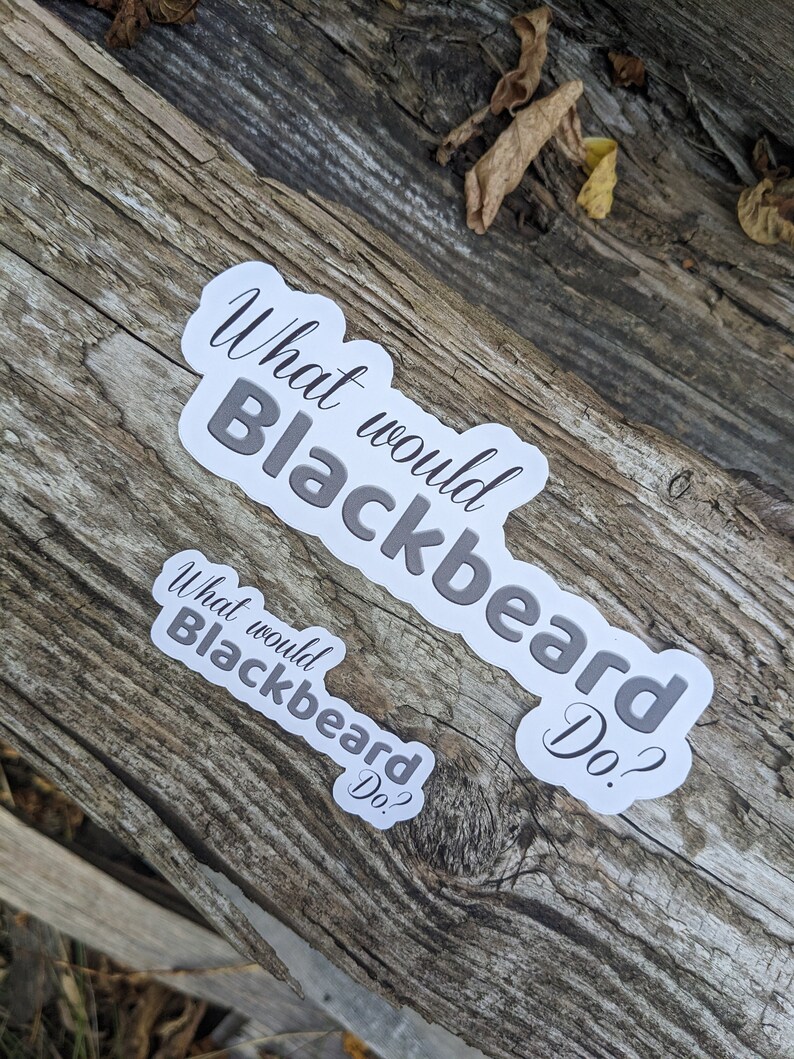 Blackbeard Sticker, Our Flag Means Death Sticker, What Would Blackbeard ...