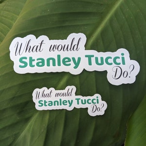 Stanley Tucci-sticker, The Devil Wears Prada-sticker, Wat zou Stanley Tucci doen, leuke sticker, Hydroflask-decoratie