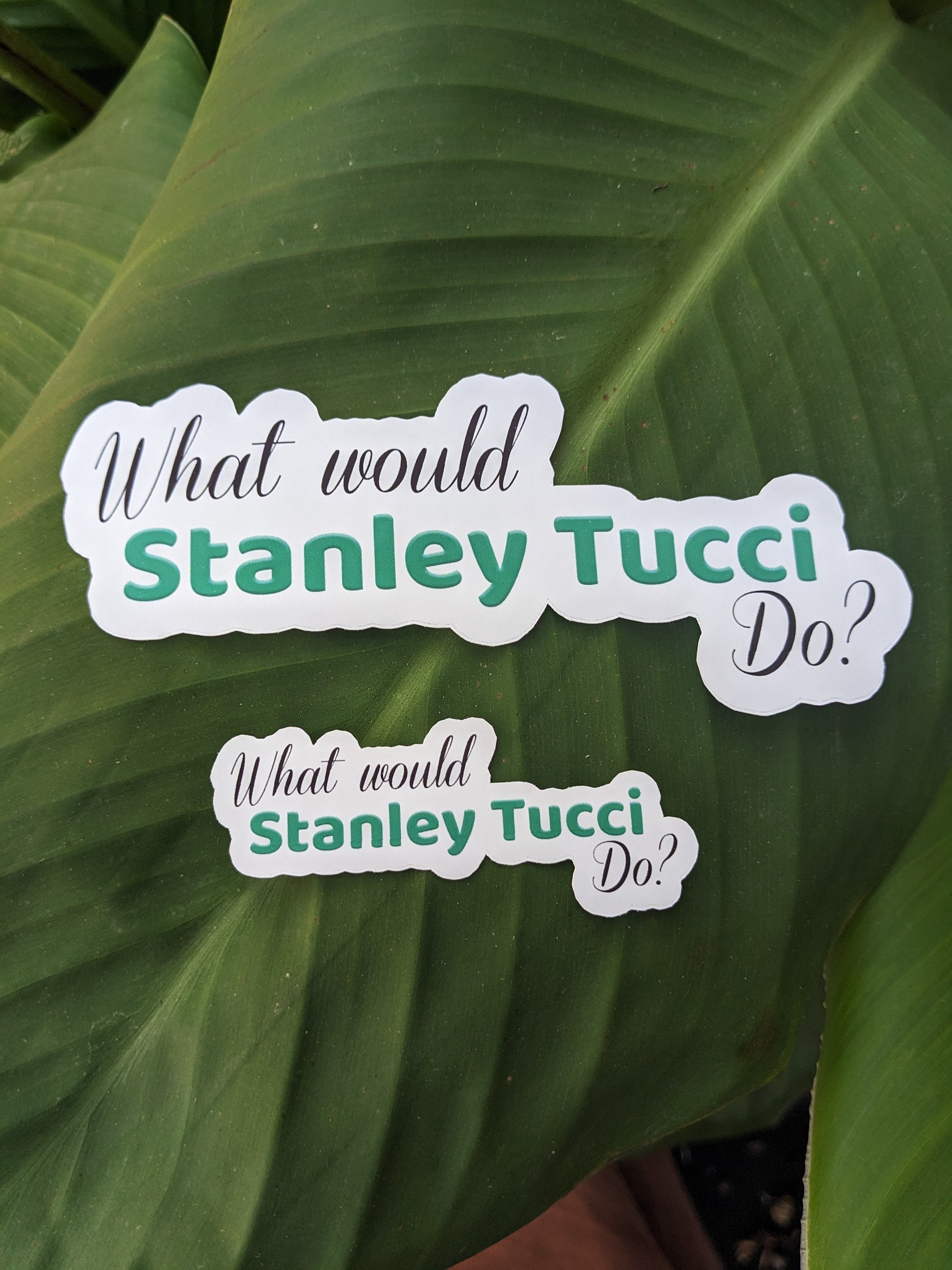 Stanley tucci - Etsy 日本