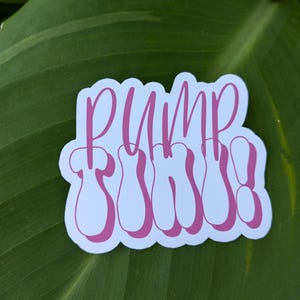 Pumptini sticker, James Kennedy sticker, Vanderpump Rules sticker, fun quotes, VPR quotes, funny sticker, waterbottle decoration