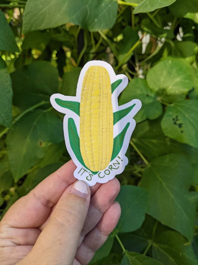 It's Corn! Sticker, Tiktok Sticker, Viral Meme Sticker, Corn Sticker ...