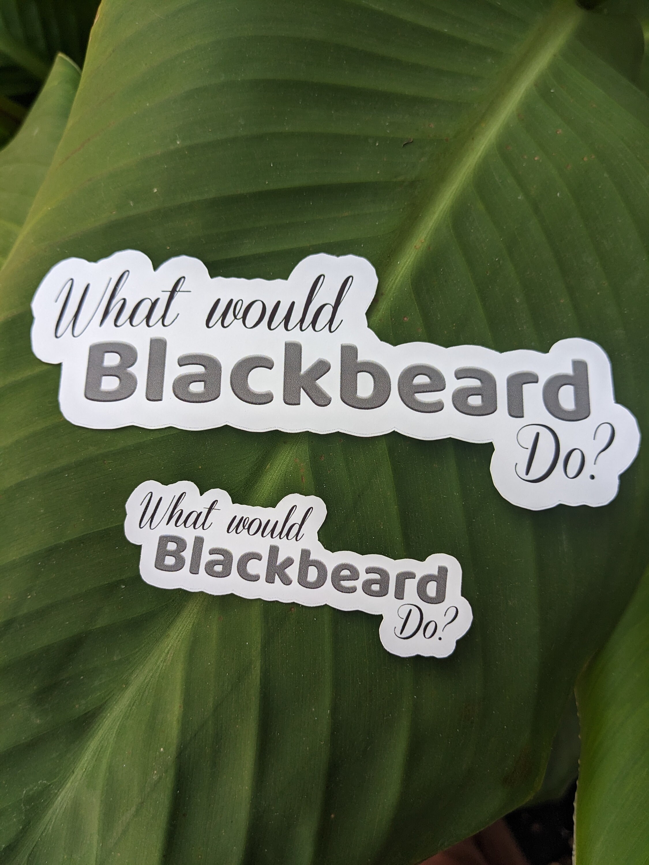 Blackbeard Sticker, Our Flag Means Death Sticker, What Would Blackbeard ...