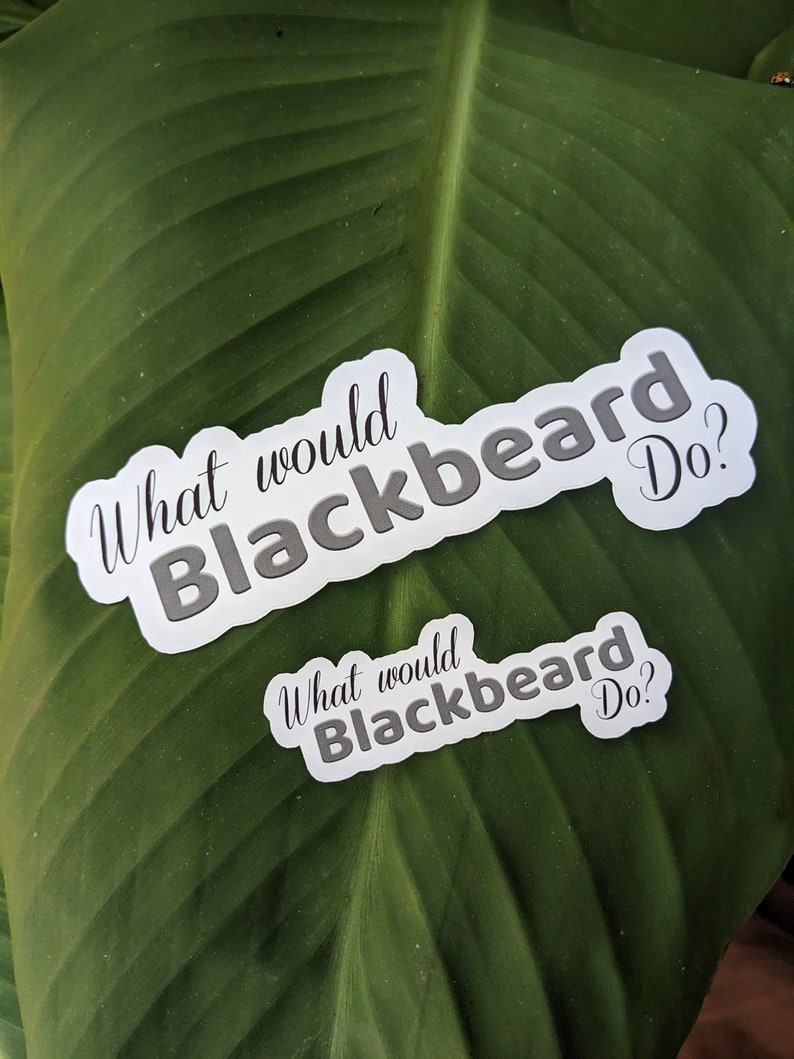 Blackbeard Sticker, Our Flag Means Death Sticker, What Would Blackbeard ...