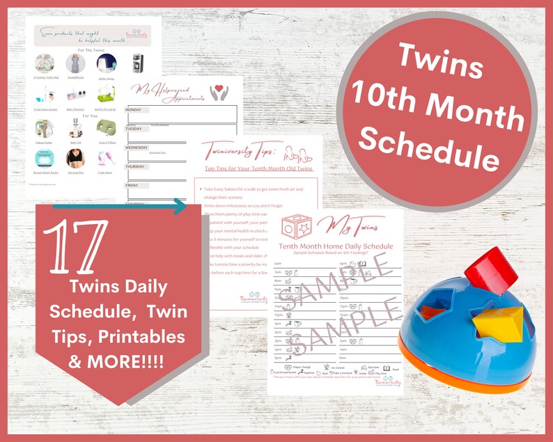 Twins Schedule: Tenth Month Schedule and Planner image 1