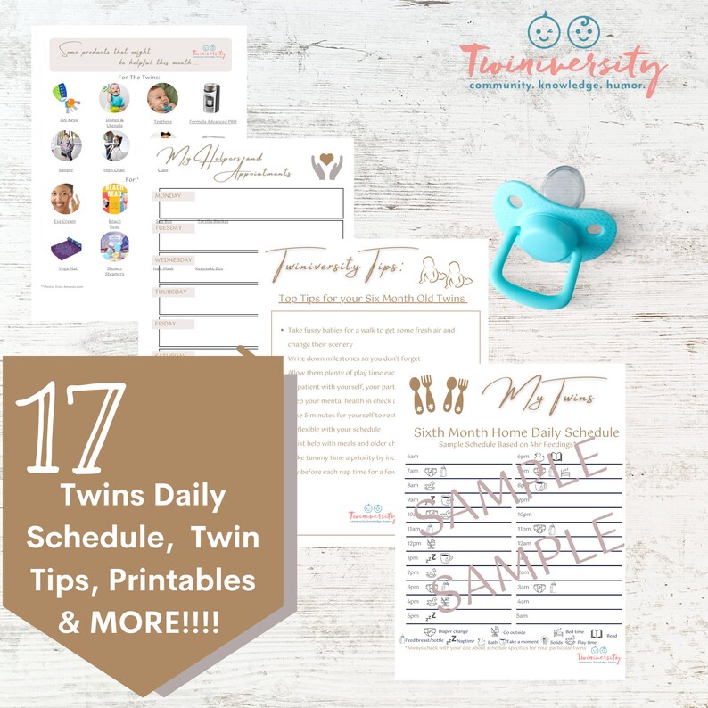 Twins Schedule: Sixth Month Schedule and Planner - Etsy