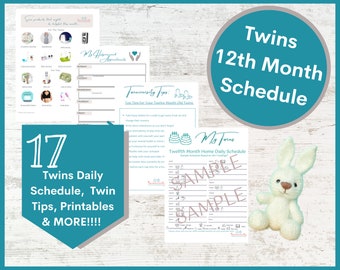 Twins Schedule: The First Year With Twins Twelve Month Schedule