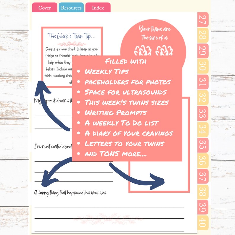 Twin Pregnancy BUNDLE Digital Pregnancy Journal Planner for Twins 17 pages of Twins Pregnancy Printables for Having Twins image 4