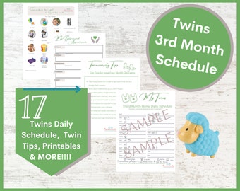Twins Schedule: Third Month Schedule and Planner