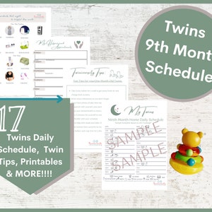 Twins Schedule: Ninth Month Schedule and Planner
