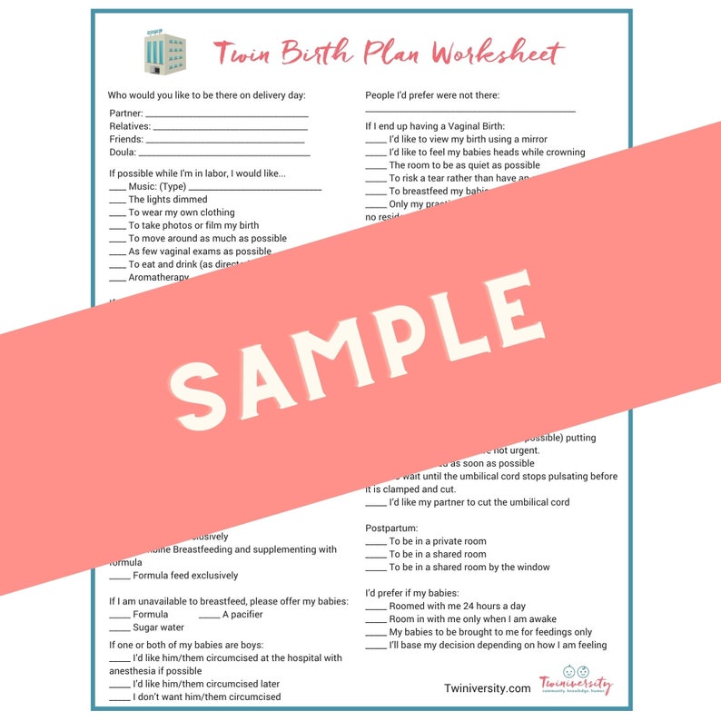 Twin Pregnancy Kit Expecting Twins Checklists, Birth Plan, and other printables for having twins INSTANT DOWNLOAD image 2