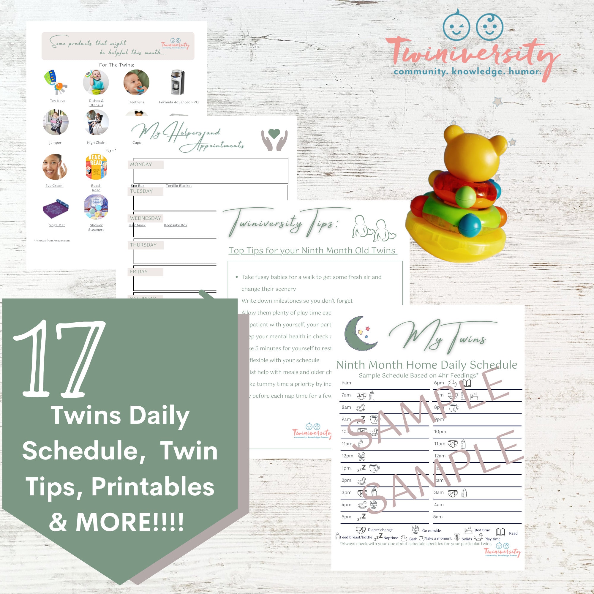Twins Schedule: Ninth Month Schedule and Planner - Etsy