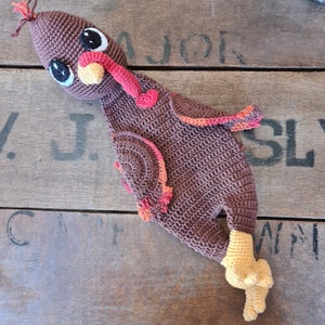 Crochet Pattern: Tom Turkey, Melly Teddy Ragdoll, cute amigurumi turkey ragdoll, easy to make turkey lovey, turkey snuggler