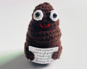 Häkeln Sie Positive Poo, niedliches Poo Dekor, häkeln Sie emotionale Unterstützung Poo, Amigurimi Poo mit positivem Zitat, handgemachtes Plüsch Poo, Geschenk für den besten Freund