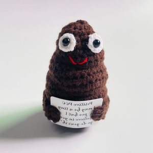 Cute Poo, Positive Poo, Emotional Support Poo, Encouraging Gift