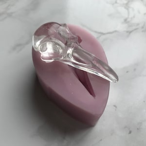May include: A transparent bird skull resin casting rests on a light purple silicone mould. The skull features eye sockets and a pointed beak. The mould is oval-shaped with a central groove.