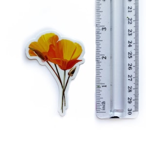 California Poppy Sticker 2.07x3 Inches Vinyl Sticker Floral Design for Laptop Water Bottle Nature Lover Gift Decor