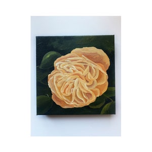 Floral Canvas Wall Art Garden Rose Painting Original 8x8 Inch Pink Rose Artwork Botanical Wall Decor Living Room Bedroom Gift