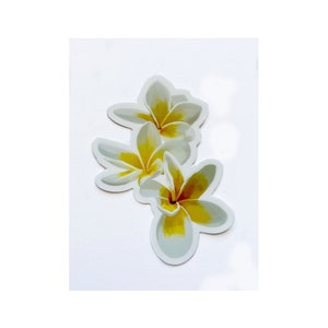 Plumeria Sticker Tropical Flower Vinyl Sticker 2x3 Inch Laptop Water Bottle Summer Floral Aesthetic Decor Cute Gift for Her