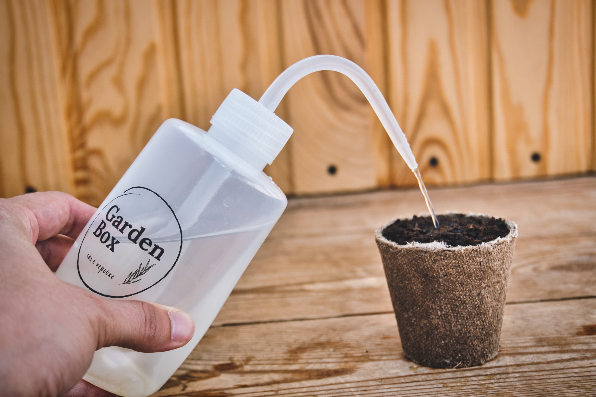 Nospill Watering Bottle Perfect for Succulents Plants and Etsy