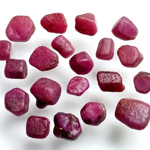 Può includere: Una collezione di gemme di rubino grezze e non tagliate. Le pietre variano per dimensioni e forma, mostrando una tonalità rosso intenso con alcune variazioni di tono. Le gemme sono sparse su uno sfondo bianco.